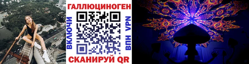 Галлюциногенные грибы Psilocybe  Порхов 